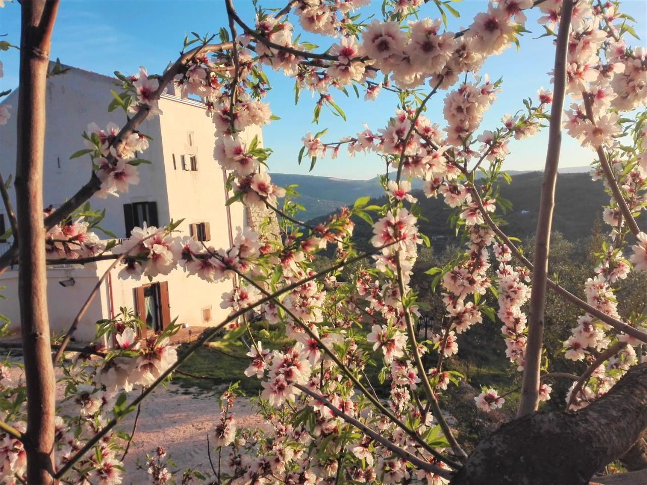 Torre Bruno Villa Carpino Exterior photo
